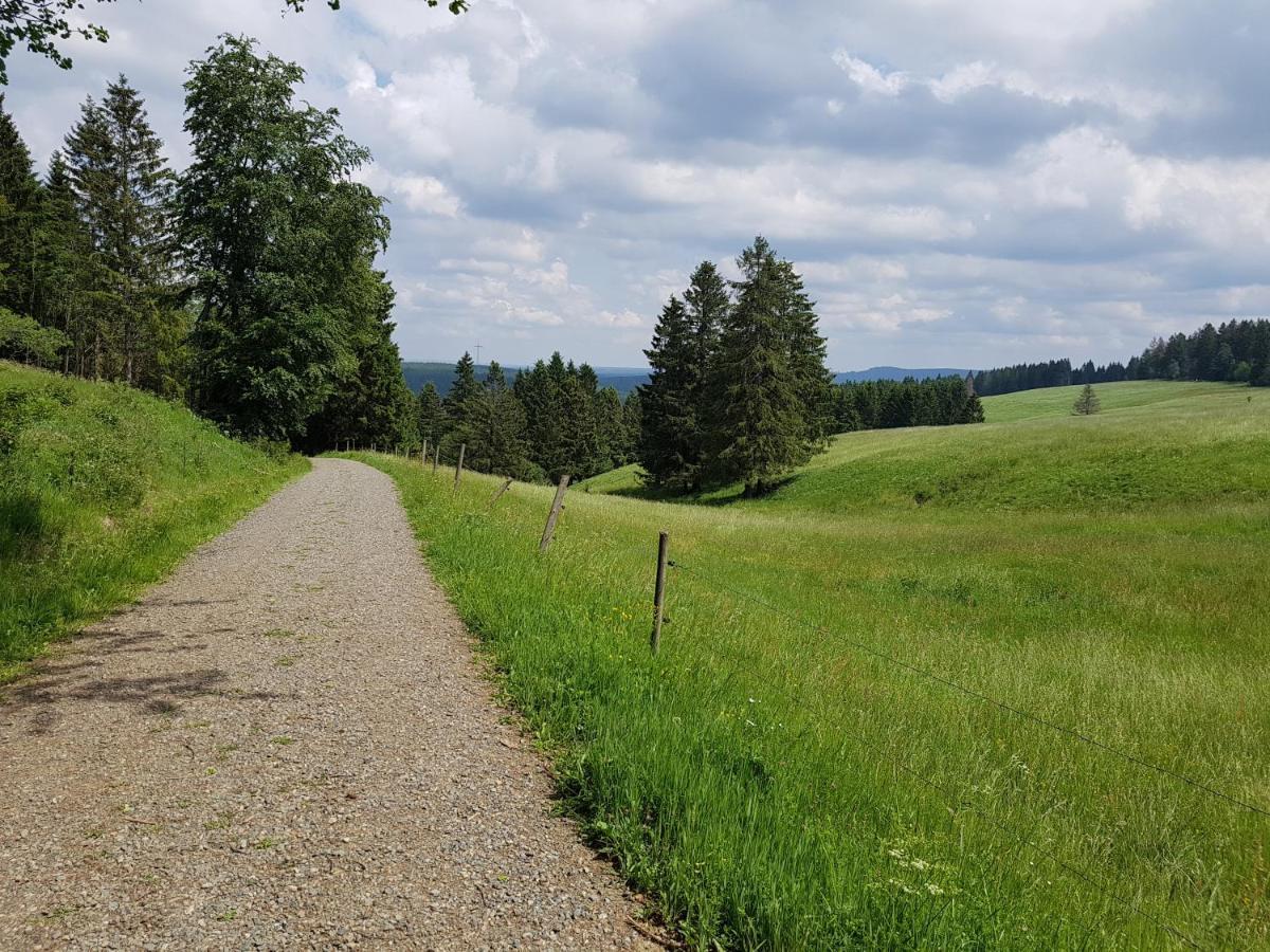 Ferienwohnung Harz-Butze Sankt Andreasberg Exterior foto