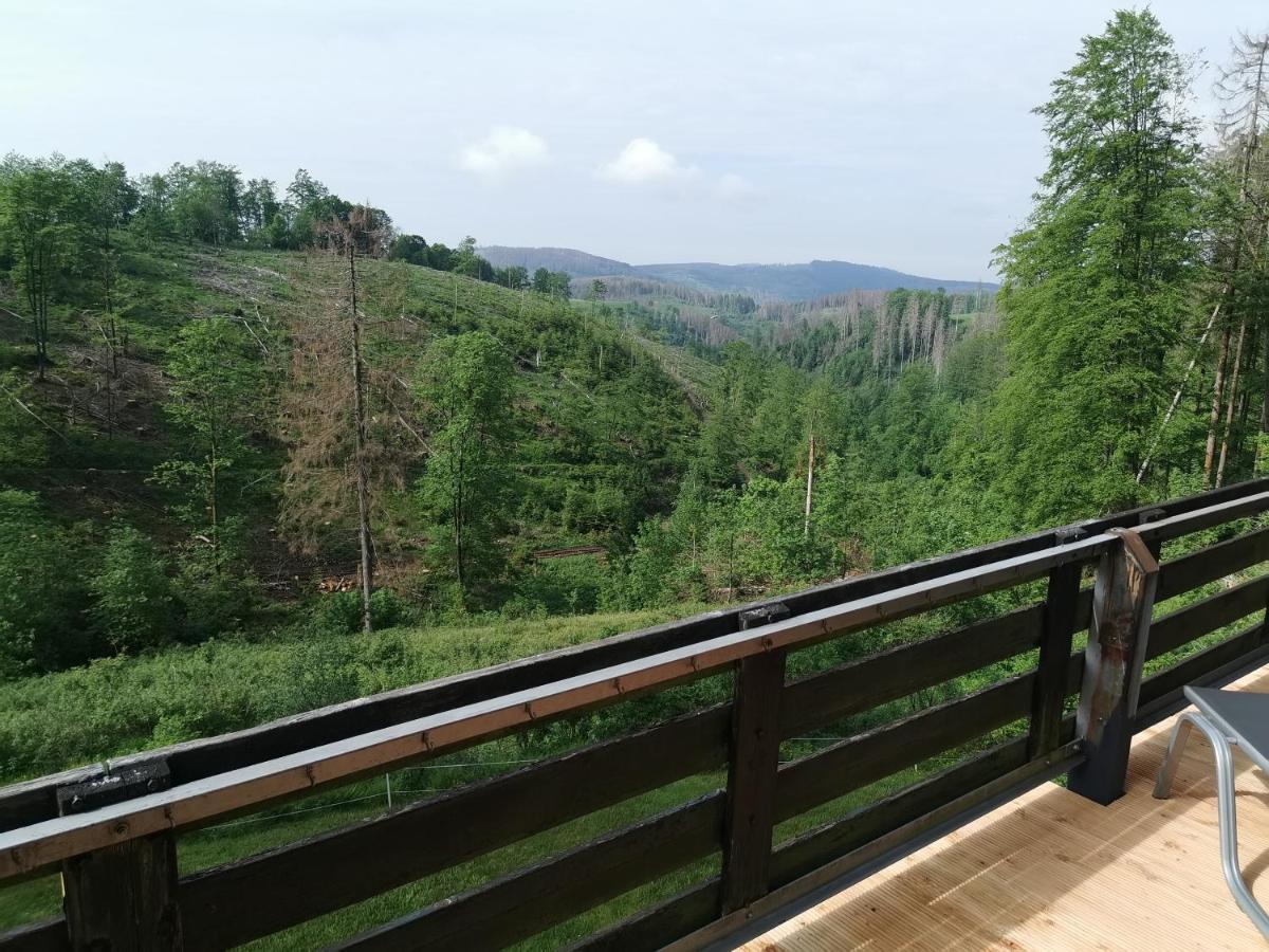 Ferienwohnung Harz-Butze Sankt Andreasberg Exterior foto